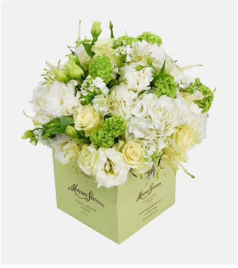 White And Green