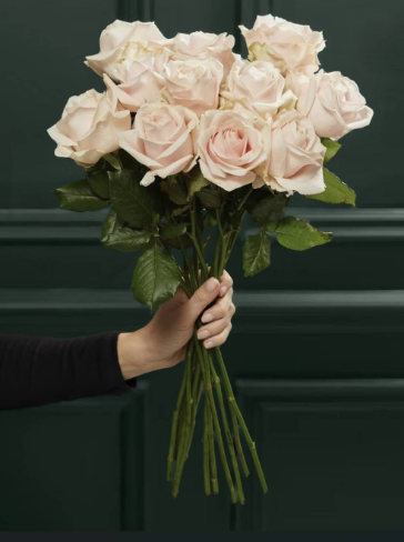 Dozen pale Pink roses