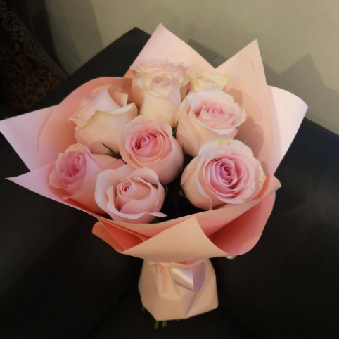 10 pink roses