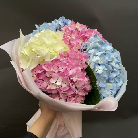 Mixed flowers