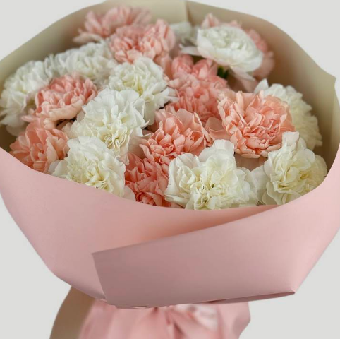 Cotton Candy Charm ( Dianthus)