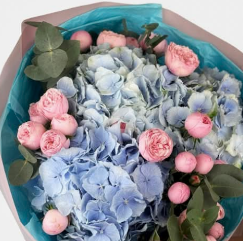 Ocean Blush ( Hydrangea, eucalyptus, peony roses )
