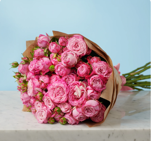 10-peony-pink-roses
