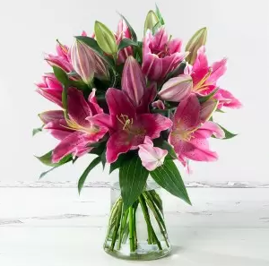Stargazer Lily Bouquet