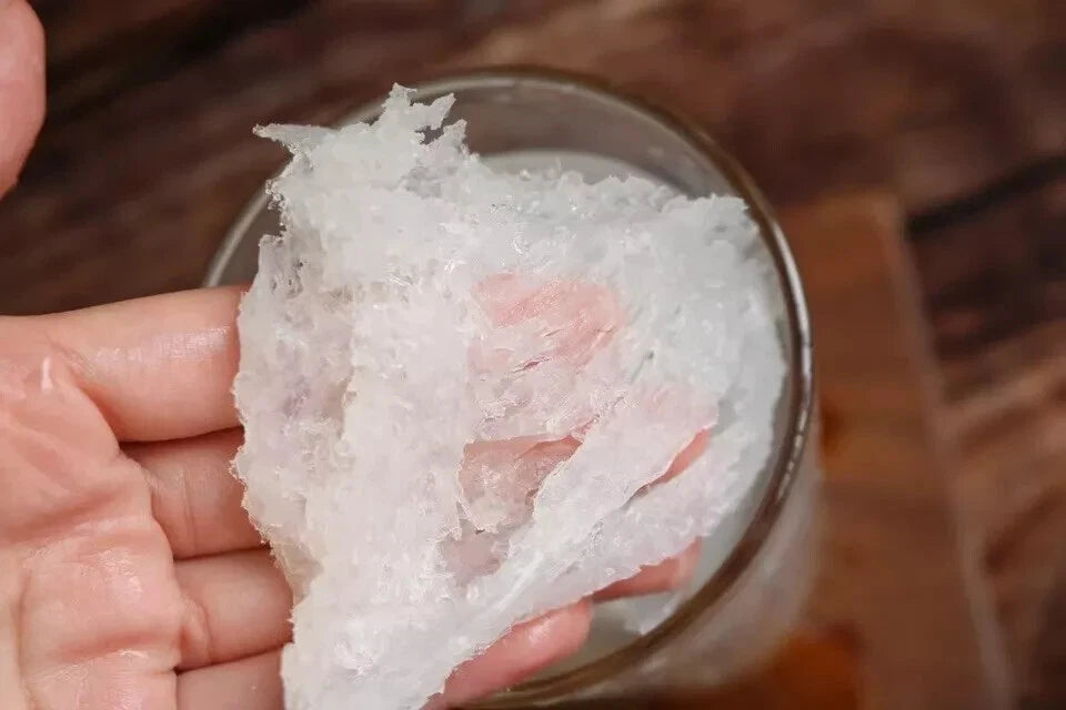 Premium Bird's Nest 95% Dryness 20g Super Food