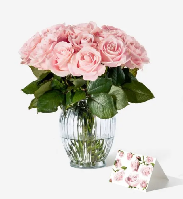 Pink Sweet Avalanche Rose