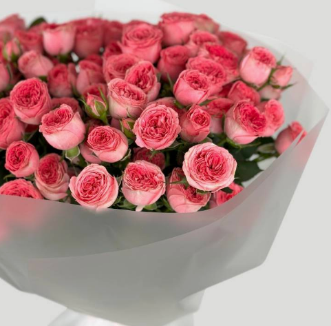 Blush Reverie ( Peony Spray Roses )