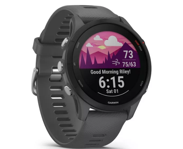 GARMIN Forerunner 255 Sports Watch - Slate Grey, 46 mm
