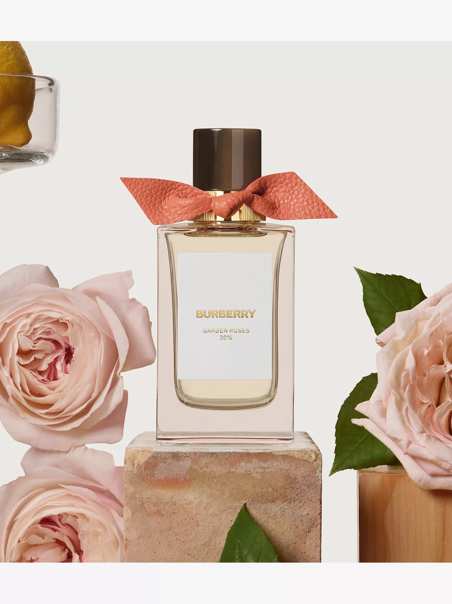 Signatures Tudor Rose eau de parfum 100ml