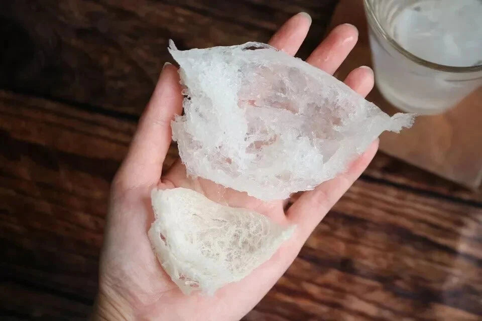 Premium Bird's Nest 95% Dryness 20g Super Food